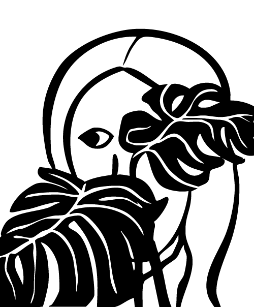 Plantes Boutique - Particules en suspension